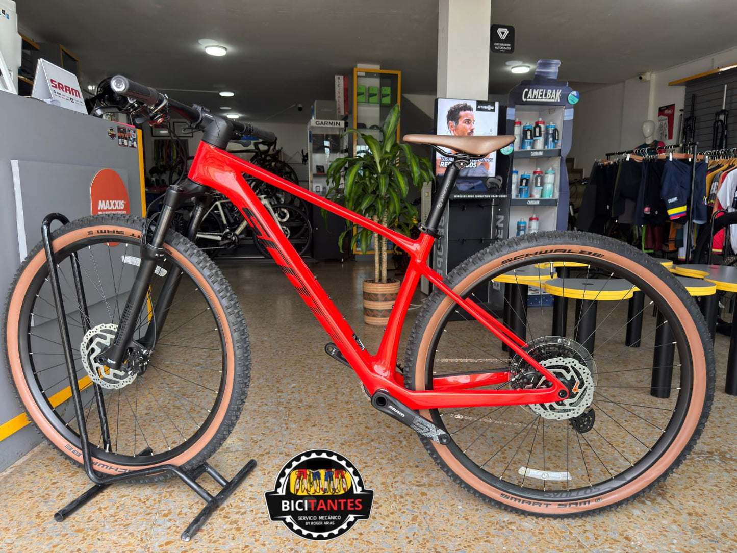 BICICLETA SCOTT SCALE 940 2024 CARBONO