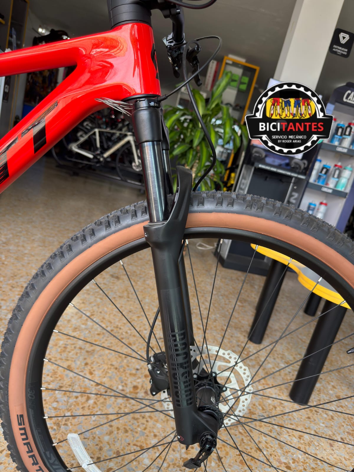 BICICLETA SCOTT SCALE 940 2024 CARBONO