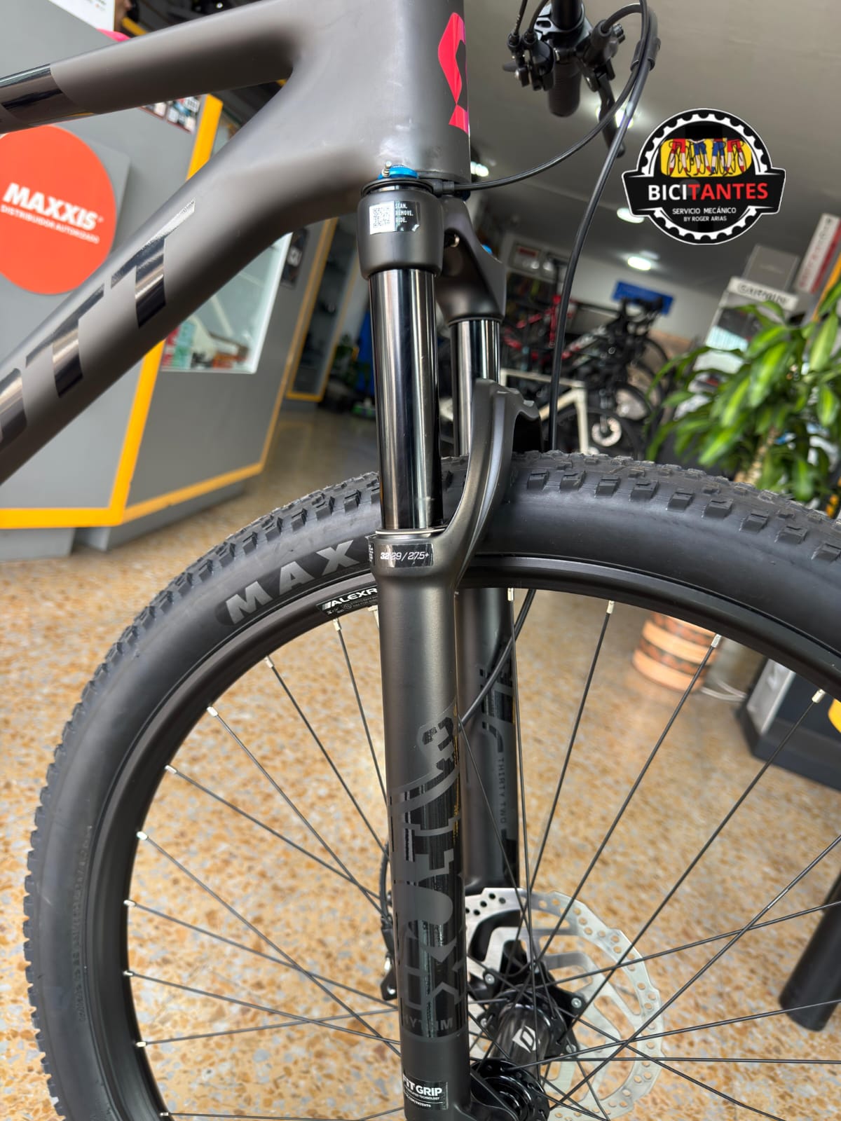BICICLETA SCOTT SCALE 910 2026 CARBONO